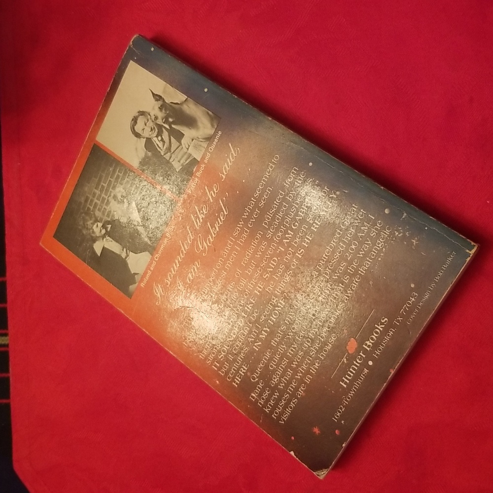 Angels on Assignment Book - Picture 2 of 2